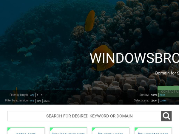 windowsbrowser.com